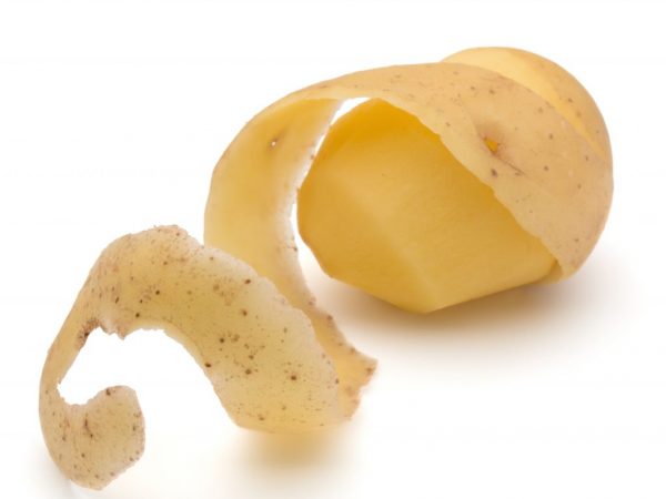 Лек сорт Маделин