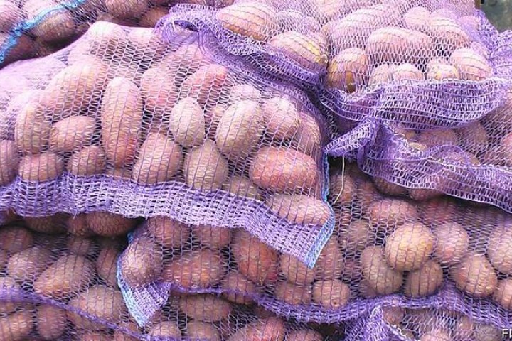 Явно разнообразие в мрежите