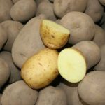 Картофи Марфона