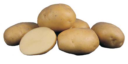 Нарязана грудка от сорта Марфона