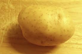 Грудка от сорта Мелодия