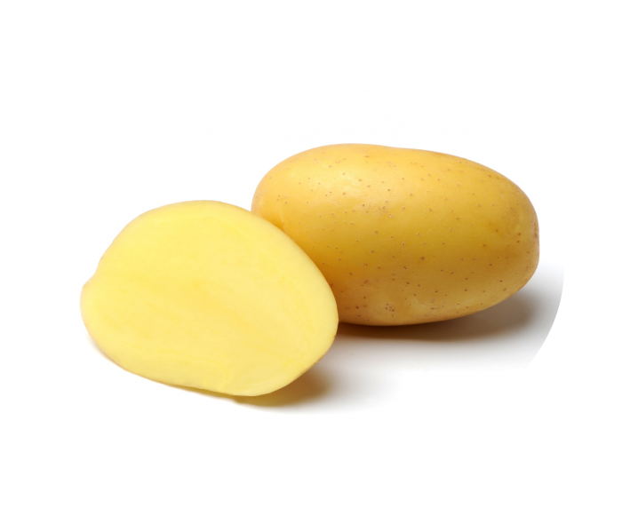 Сорт Нандина