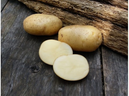 сорт Невски