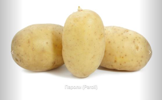 Клубени от сорта Пароли