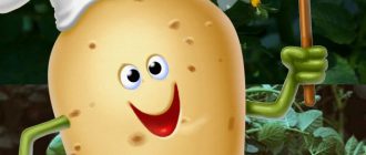 Ранни картофи