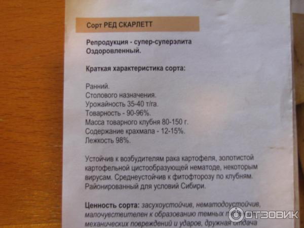Описание на Червената Скарлет Описание на картофите Red Scarlett