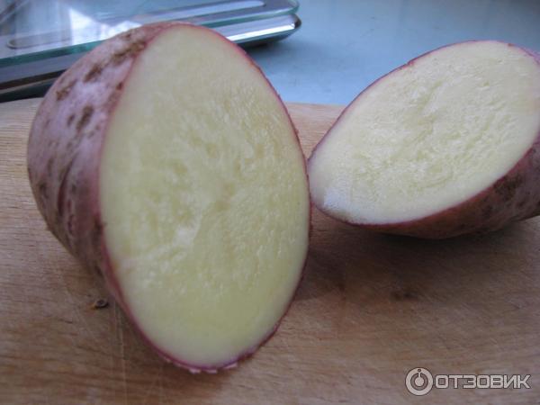 Грудка в разрез Нарязани картофи Red Scarlett