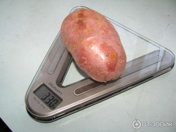 Тегло на клубена Още едно претегляне