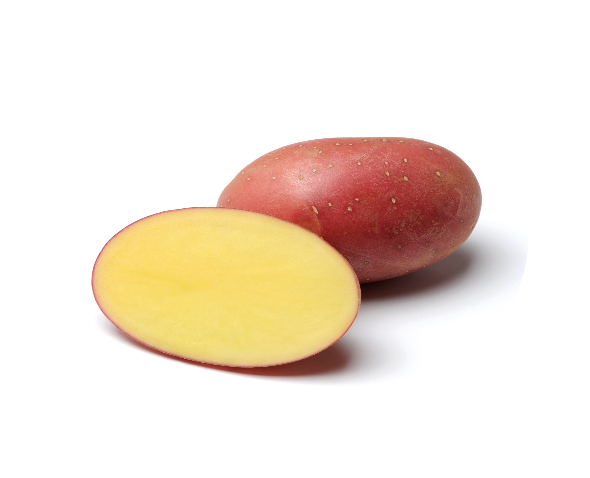 Червена грудка Соня