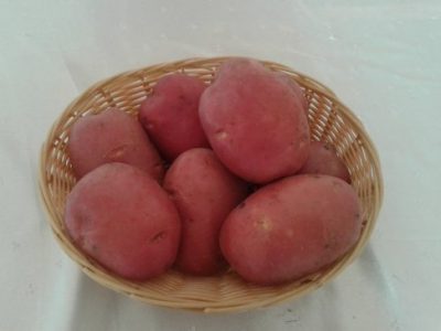 Сорт Роко в салатна купа