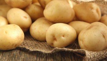 Картофено пролетно бяло