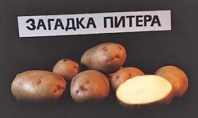 Разнообразието от „Загадките на Питър“