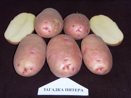 Картофи: Гатанките на Петър