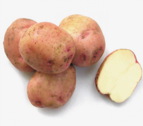 Луговски картофи