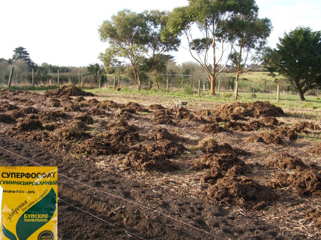 Подготовка на почвата