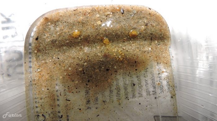 Засяване на семена