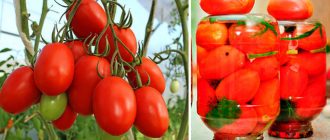 Домат Аделина