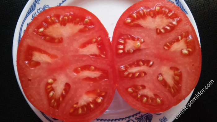 Доматена пулпа Агата