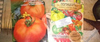 Семена от лабрадор