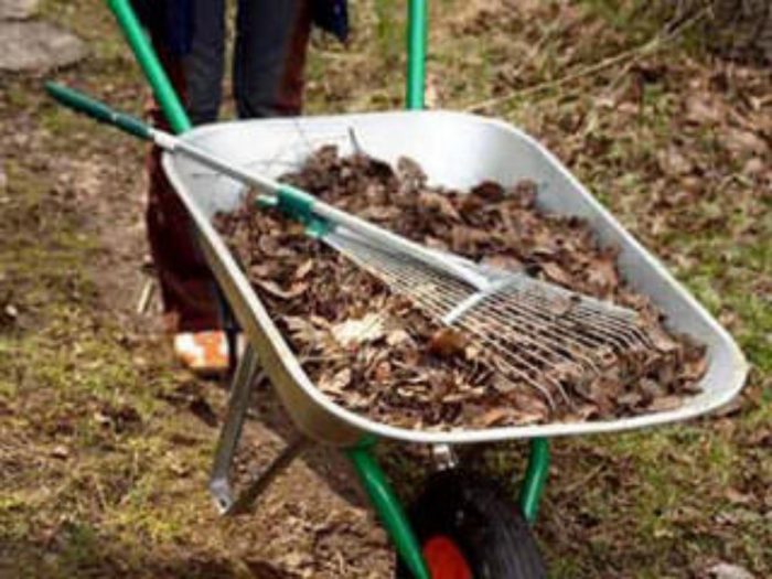 Καθαρισμός στη ντάχα