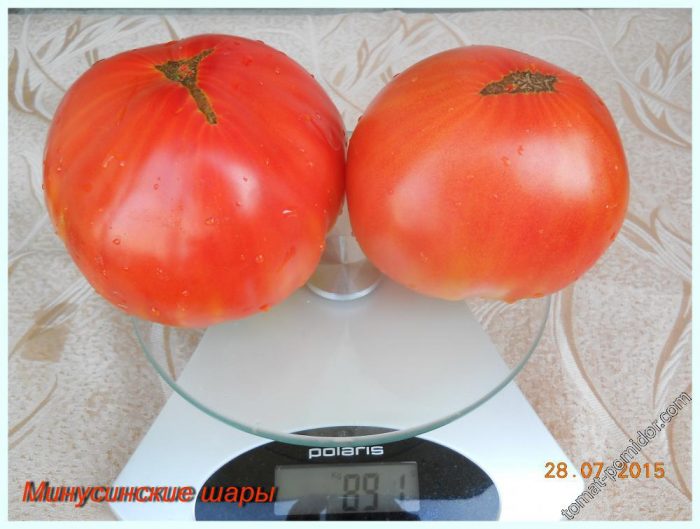 Ντομάτες στη ζυγαριά