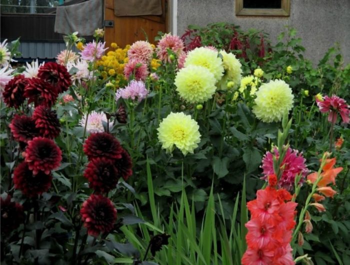 Цветя на вилата