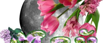 Лунен календар за май