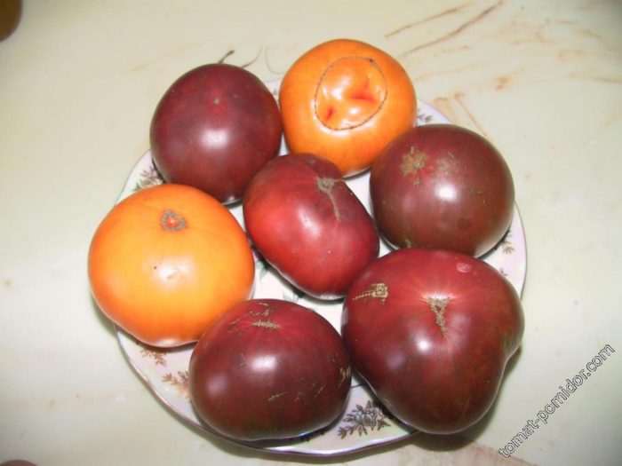 Микадо оранжево и черно Черен и оранжев домат