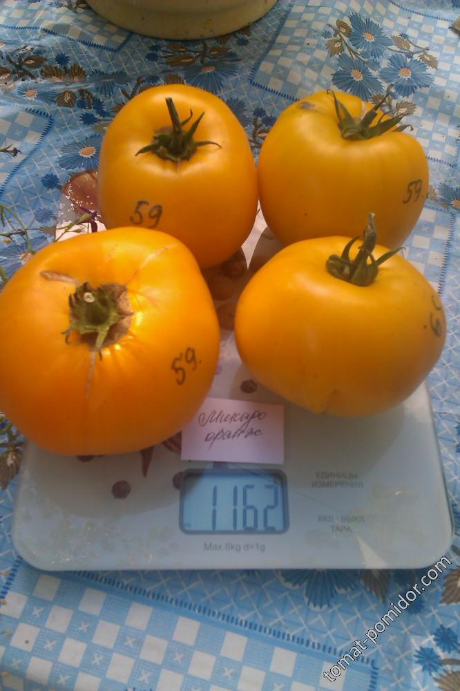 Зрели плодове Микадо оранжеви плодове