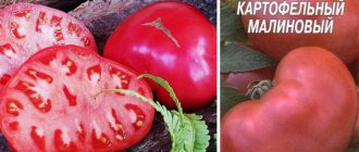 Малинов картофено-доматен