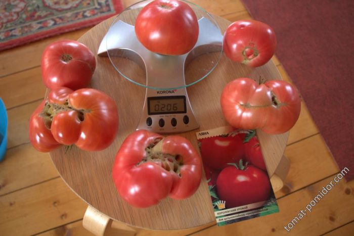 Φρούτα στη ζυγαριά