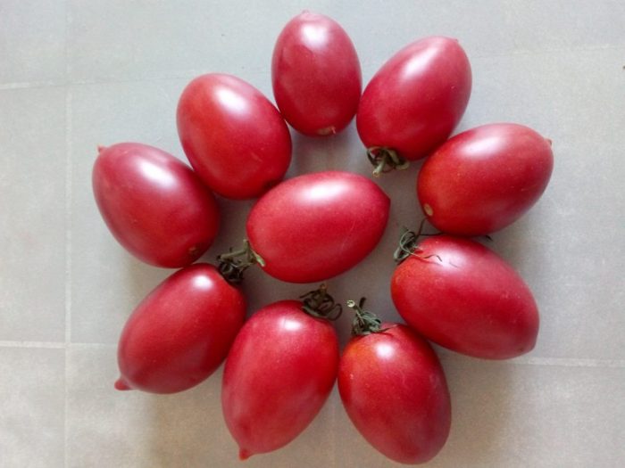 Καρποί της ποικιλίας Raspberry Flame