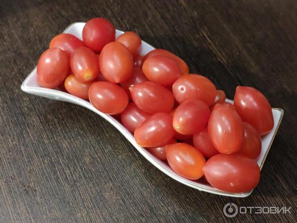 Συγκομιδή ώριμων φρούτων