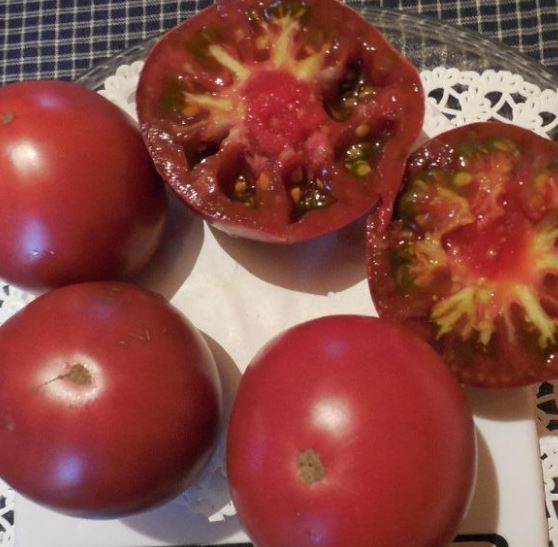 Тъмно Микадо