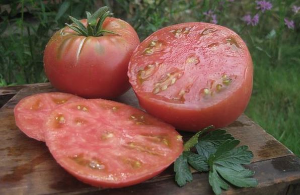 Месести розови домати