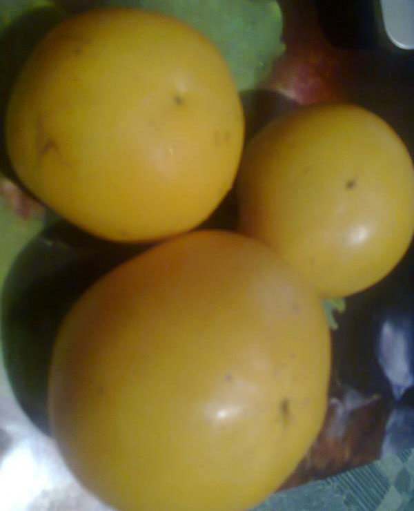 Малки плодове от жълтия сорт Микадо