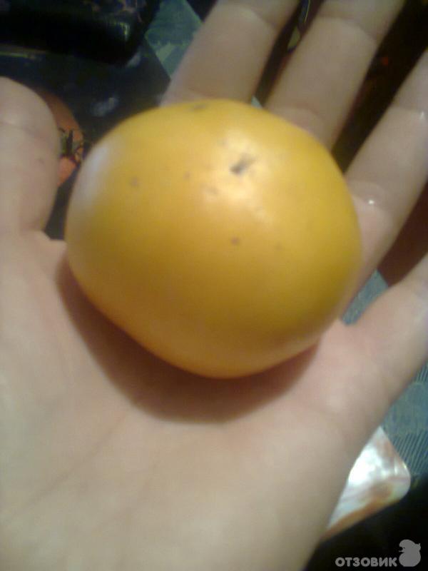 Те стават по-малки, докато растат. Жълт сорт Микадо