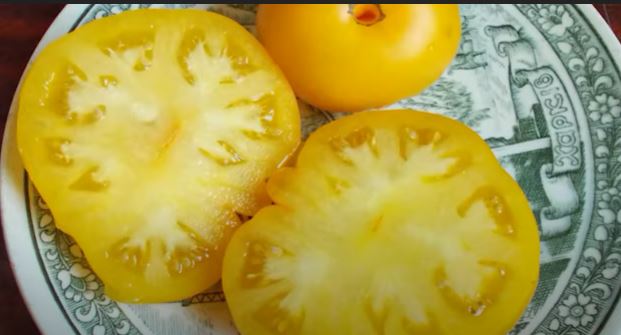 Жълт домат Микадо в напречно сечение