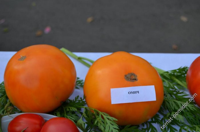 Зрели домати