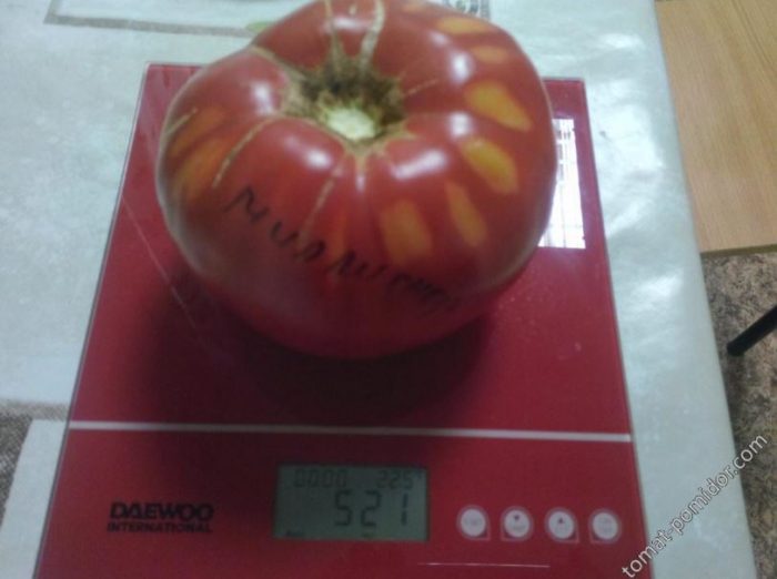 Минусинск голям