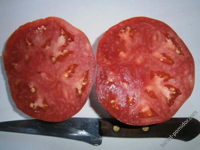 Домати в секция