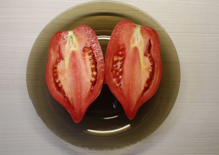 Минусински бикове в напречно сечение