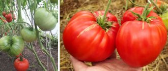 Минусински топки