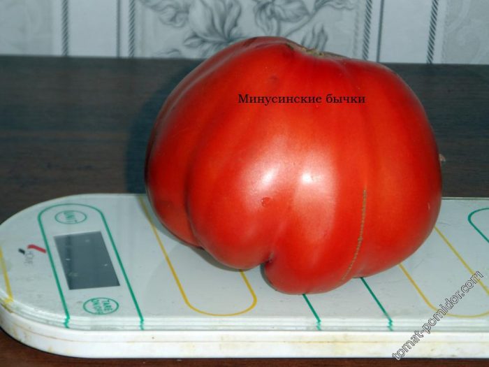 Претегляне на домати