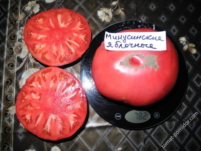 Ябълка Домат Минусинск