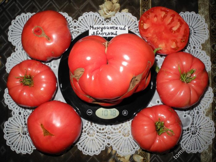 Сорт домати Минусинска ябълка