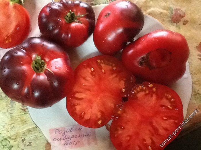 Ντομάτες σε τομή