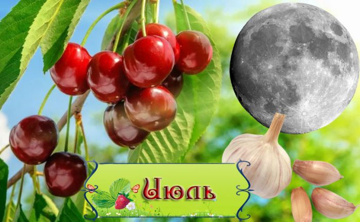 Ιούλιος και εργασία