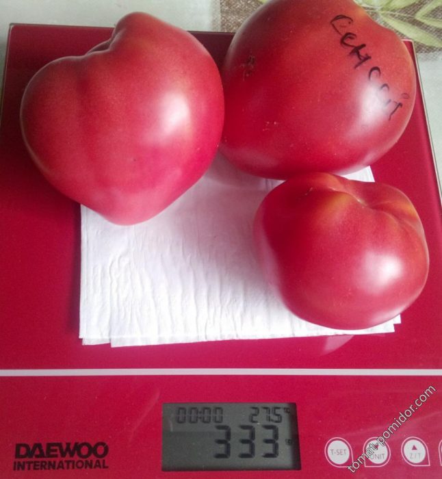 Όμορφα φρούτα