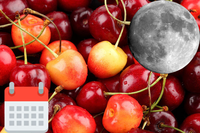 Календар, Луна и Череша